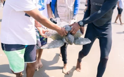 Estudiantes de Playas Villamil reciben charla para el cuidado de la fauna marina