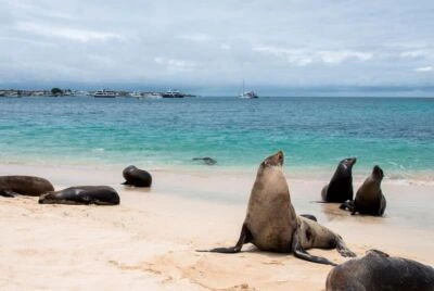 Galápagos Living Lab for Energy Innovation