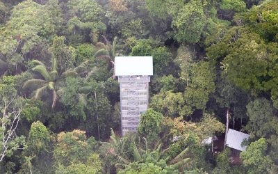 ¡Napo Wildlife Center Tienen Nueva Torre de Observación! 