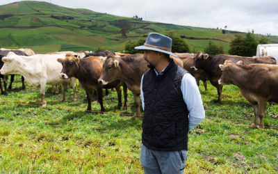 Comprometido con el Planeta: Arca Continental Ecuador Impulsa Acciones Frente al Cambio Climático