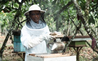 Nestlé Ecuador Impulsa Soluciones Sostenibles para Mitigar el Calentamiento Global