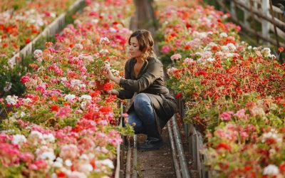 Produbanco, Aliado Estratégico del Sector Florícola Ecuatoriano