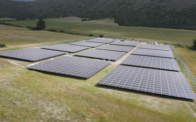 Solar Team — Radiografía del uso de energía fotovoltaica en Ecuador: así avanza la adopción solar en empresas y hogares